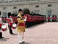 Ein Drum Major der Coldstream Guards beim Trooping the Colour