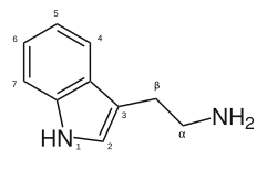 Strukturformel von 2-(3-Indolyl)ethylamin