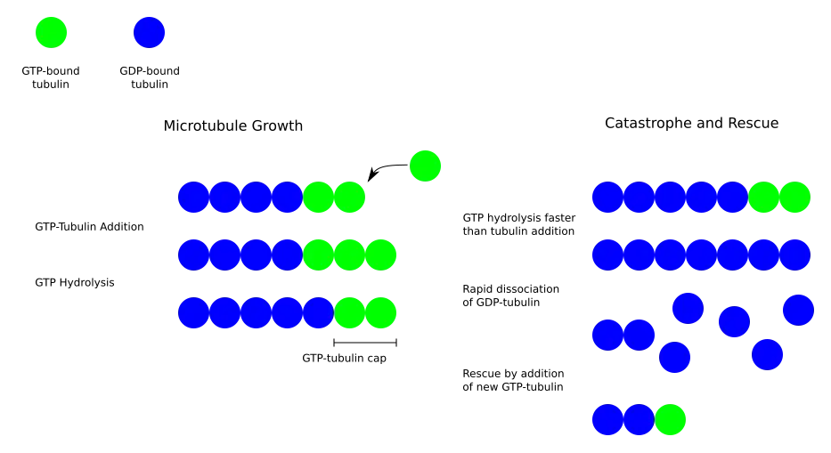 Dynamische Instabilität