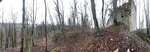 Panorama Ri. Norden: links: westl. Talweg, Mitte vorn: Halsgraben, dahinter Vorburg, Rechts: Ruine der Kernburg