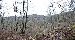 Von der Kernburg ins Krebsbachtal