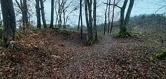 Osten der Kernburg: vermutlicher Standort des Bergfrieds