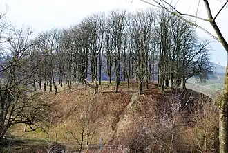 Turmhügel Altcastell