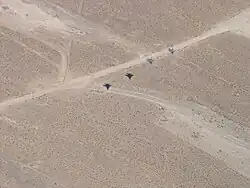 Zwei F-15 im Tiefflug