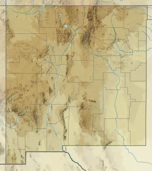 Elephant Butte Reservoir (New Mexico)