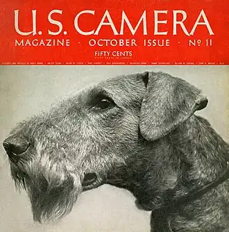 Professionelles Terrier-Portrait, um 1938