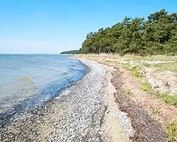 Boddenstrand beim Langen Moor