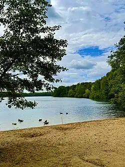 Uferbereich am Wildförstersee