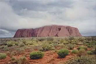 Der Uluru fahlbraun mit wolkenverhülltem Gipfelplateau (Blick von Nordwesten).