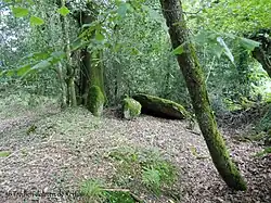 Einer der Dolmen von Kerfily