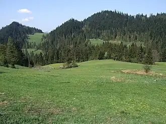 Piekiełko (links) und Ula (rechts)