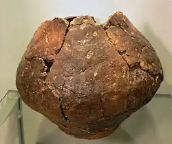 Restaurierte Urne des Gräberfeldes