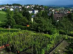 Nossikon und Riedikon vom Schloss Uster aus