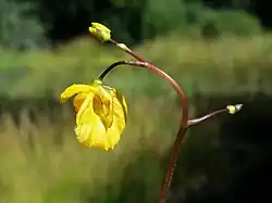 2024 Verkannter Wasserschlauch