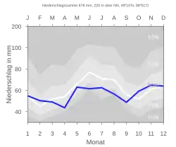 Niederschlagsdiagramm