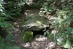 Steinkiste vom Rugenbarg