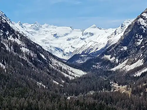 Val Roseg und Punta Orientale della Sella, Punta Occidentale della Sella, Piz Glüschaint, Piz da la Fuorcla, La Muongia, Il Chapütschin und Muot da Crasta (v. l. n. r.), aufgenommen von Pontresina (für Annotationen der einzelnen Berge aufs Bild klicken)