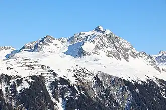 Valschavieler Maderer von Süden