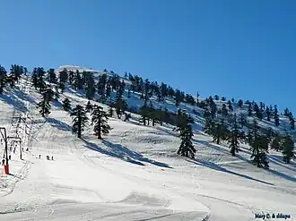 Skigebiet von Vasilitsa