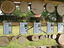 Station im Forschungsgarten