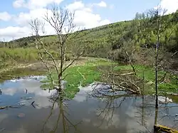 Ein Blick von der Trasse