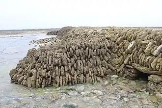 Verstärkung neben einem Wasserdurchlass