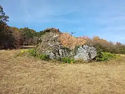 Findling von Riant Mont