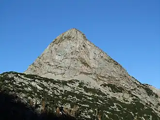 Viehkogel von Osten