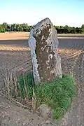 Menhir