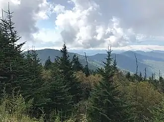Panorama der Berglandschaft im Great-Smoky-Mountains-Nationalpark