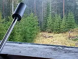 Blick auf Rehe vom Hochsitz – beim Schuss wäre aufgrund des Schusswinkels ein natürlicher Kugelfang gewährleistet