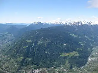 Nutzwald am Vigiljoch