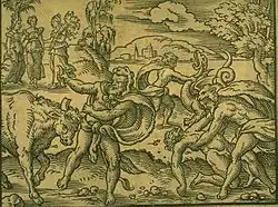 Löwenfell mit Knoten