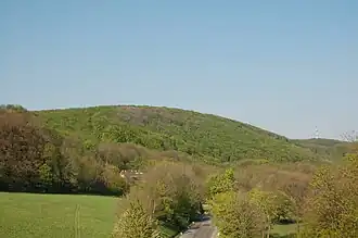 Vogelsangberg von der Rohrerwiese