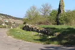 Reste der Römerstraße