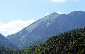 Der Vordere Felderkopf von Osten (Farchant)