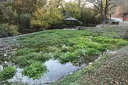 Die Quelle der Moravica