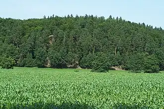 Teilansicht von Südosten (2012)