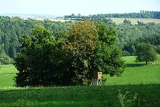 Blick von Nordwesten über das Habichtstal auf den Mihlaer Berg/Reitenberg.