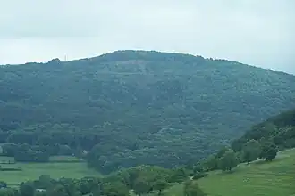 Der Umpfen (2009) Ansicht von Nordwesten