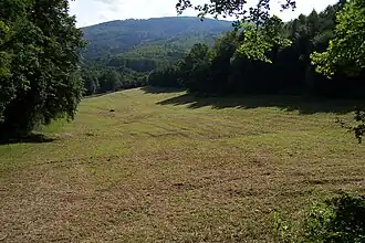 Blick von Westen über den Rehberg, im Hintergrund der Kissel (2012)