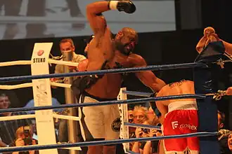Florian Pavic vs. Bob Sapp
