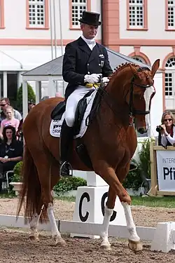 Hubertus Schmidt reitet vor der Kulisse des Biebricher Schlosses den Fuchswallach Donnelly. Hinter den Beinen des Pferdes ist der Bahnpunkt C des Dressurvierecks zu sehen.