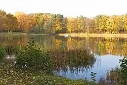 Ansicht vom Ostufer, November 2011