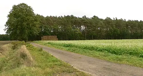 Waldstück mit dem Leichenfundort bei einem Strohhaufen, 2023