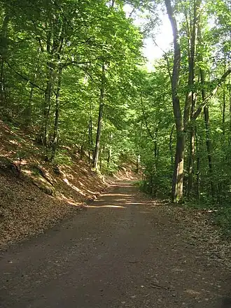 Saulochköpfchen im Bereich des Quaderhangs