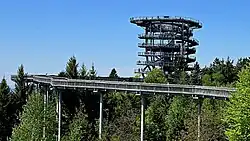 Der Waldwipfelweg (Mai 2025)