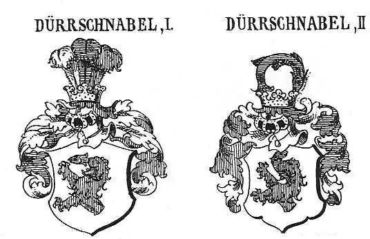 Adelswappen Dürrschnabel