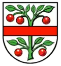 Wappen Steinach