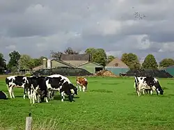 Überhorsthof, Rückseitig